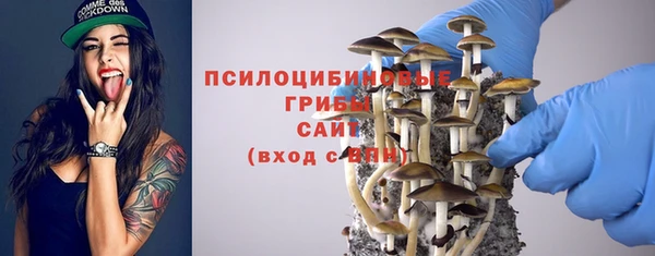 синтетический гашиш Краснослободск