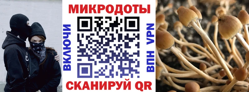Купить где  Ишимбай  Псилоцибиновые грибы Psilocybe 