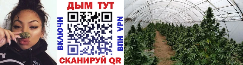 Бошки Шишки White Widow  Купить где  Ишимбай 